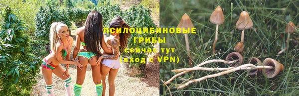 прущие крисы Дмитров