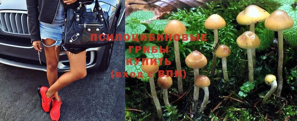 прущие крисы Дмитров
