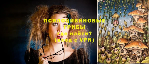 прущие крисы Дмитров