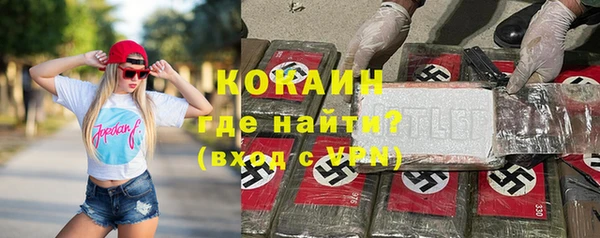 твердый Дмитриев