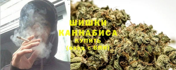твердый Дмитриев