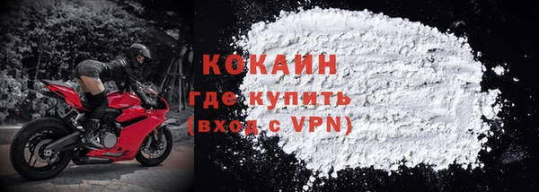 твердый Дмитриев