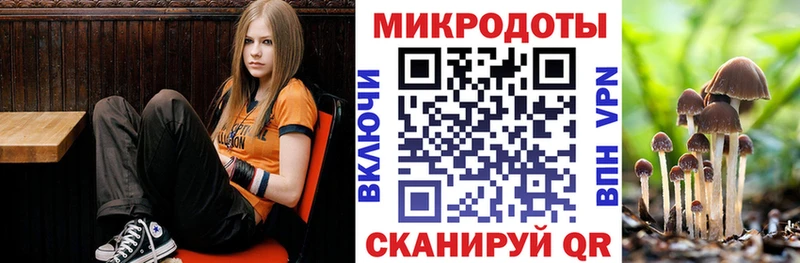 Купить закладки  Мегион  Псилоцибиновые грибы прущие грибы 
